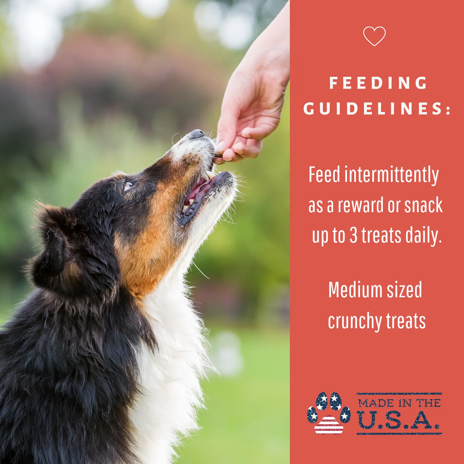 Dog Mamma's Organic Apple Cranberry Recipe - USDA Organic Certified Dog Treats Dog Mamma's Organic Dog Treats