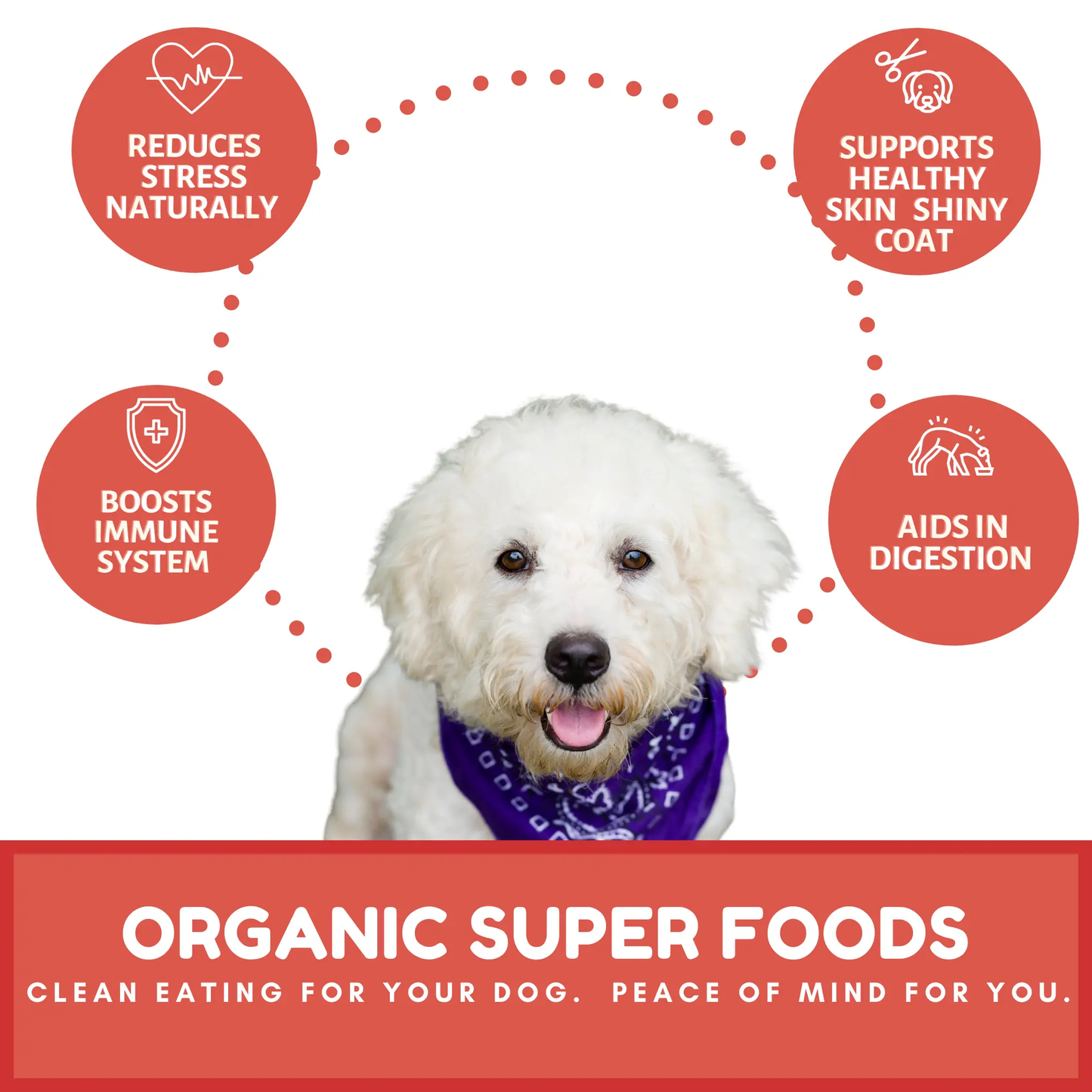 Dog Mamma's Organic Apple Cranberry Recipe - USDA Organic Certified Dog Treats Dog Mamma's Organic Dog Treats