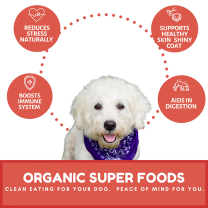 Dog Mamma's Organic Apple Cranberry Recipe - USDA Organic Certified Dog Treats Dog Mamma's Organic Dog Treats