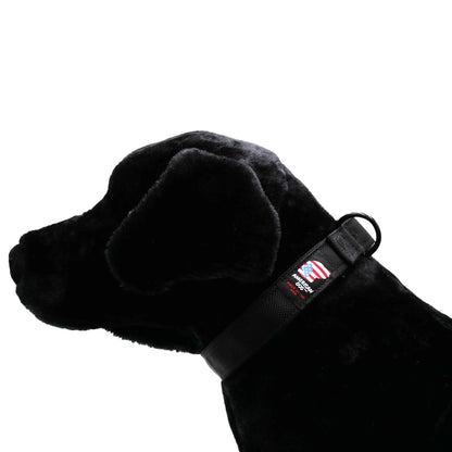 Collars.  Ballistic Solids & Print Designs American Dog
