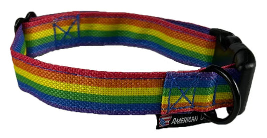 Rainbow Collars American Dog