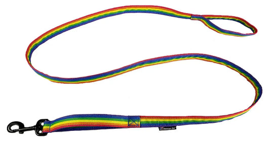 Rainbow Leash American Dog