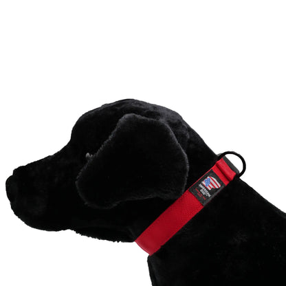 Collars.  Ballistic Solids & Print Designs American Dog