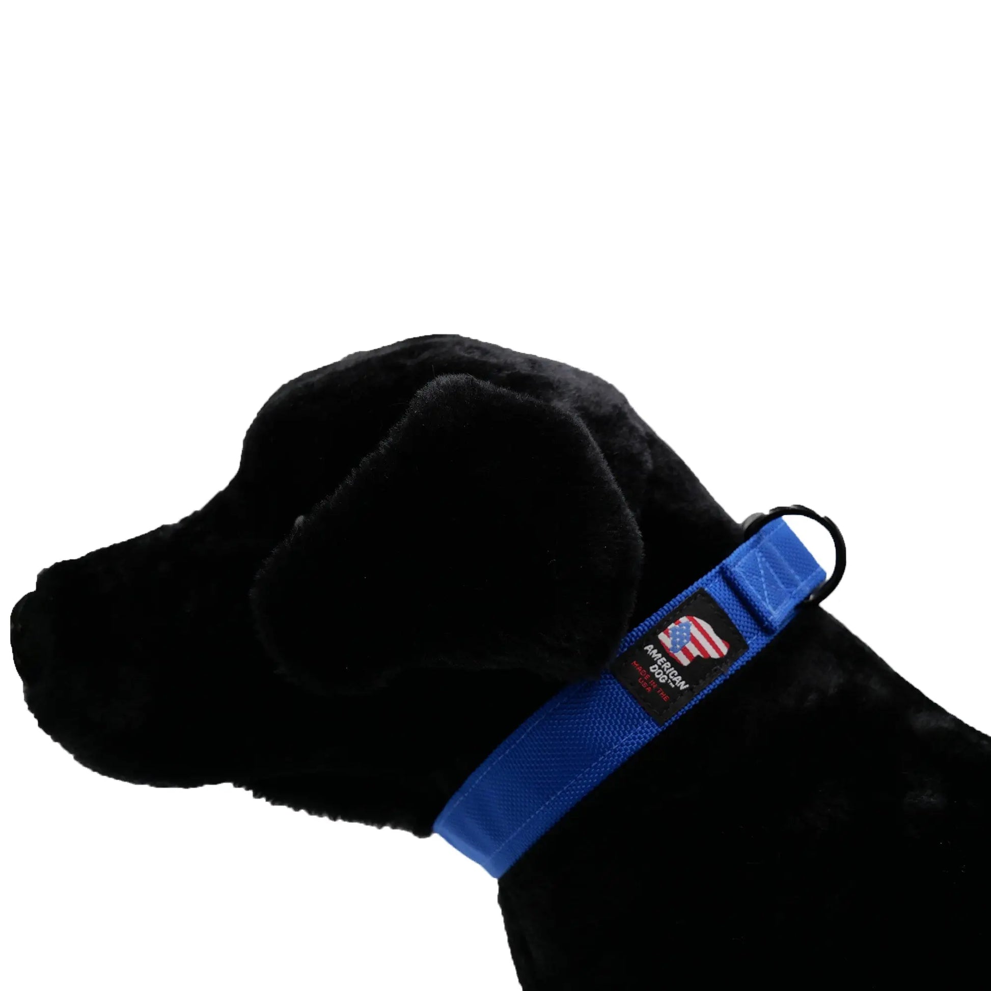 Collars.  Ballistic Solids & Print Designs American Dog