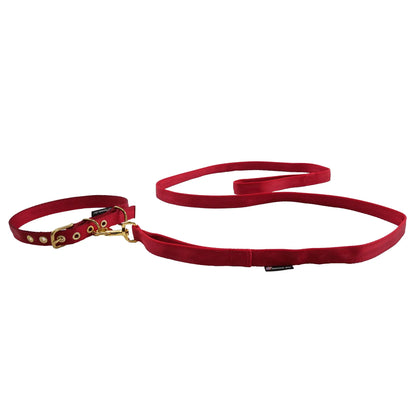 Leashes Seatbelt American Dog
