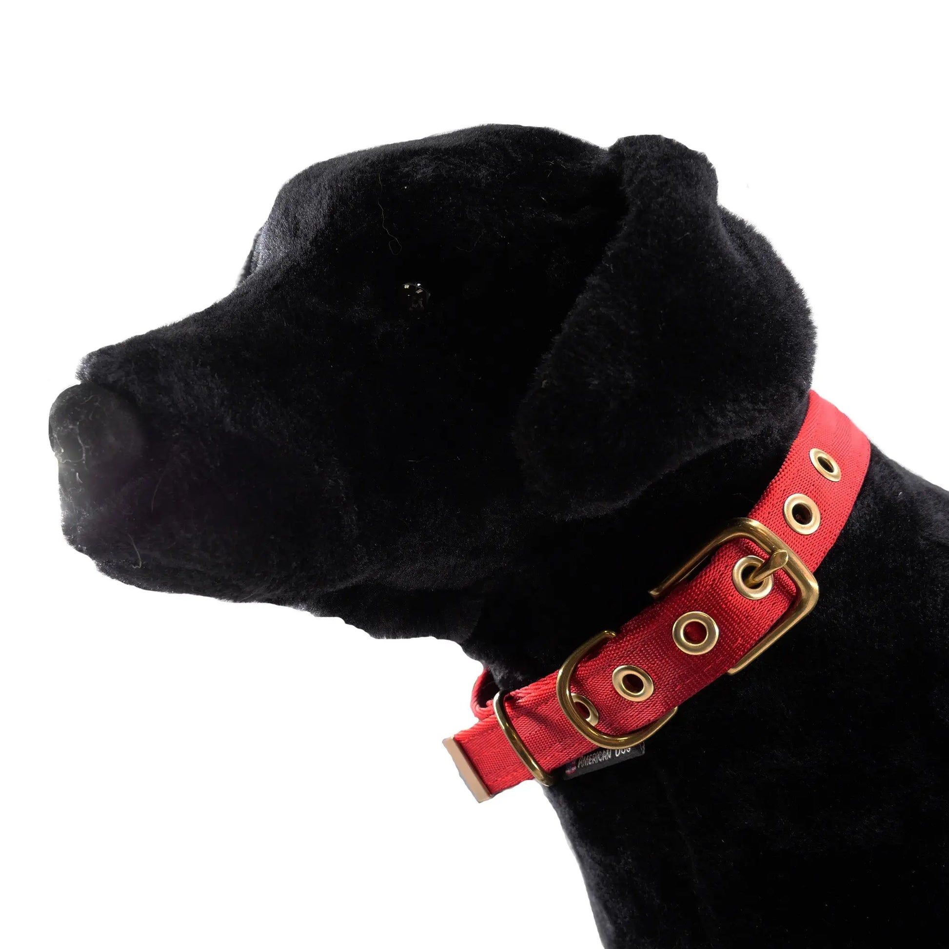 Collars Seatbelt American Dog