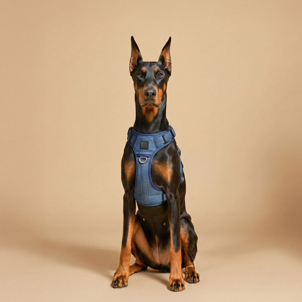 The NoMad Adjustable Luxe Harness - Denim by Dogistry™