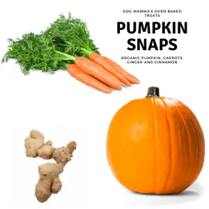 Dog Mamma's Organic Pumpkin Snaps Recipe- USDA Organic Certified Dog Treats Dog Mamma's Organic Dog Treats