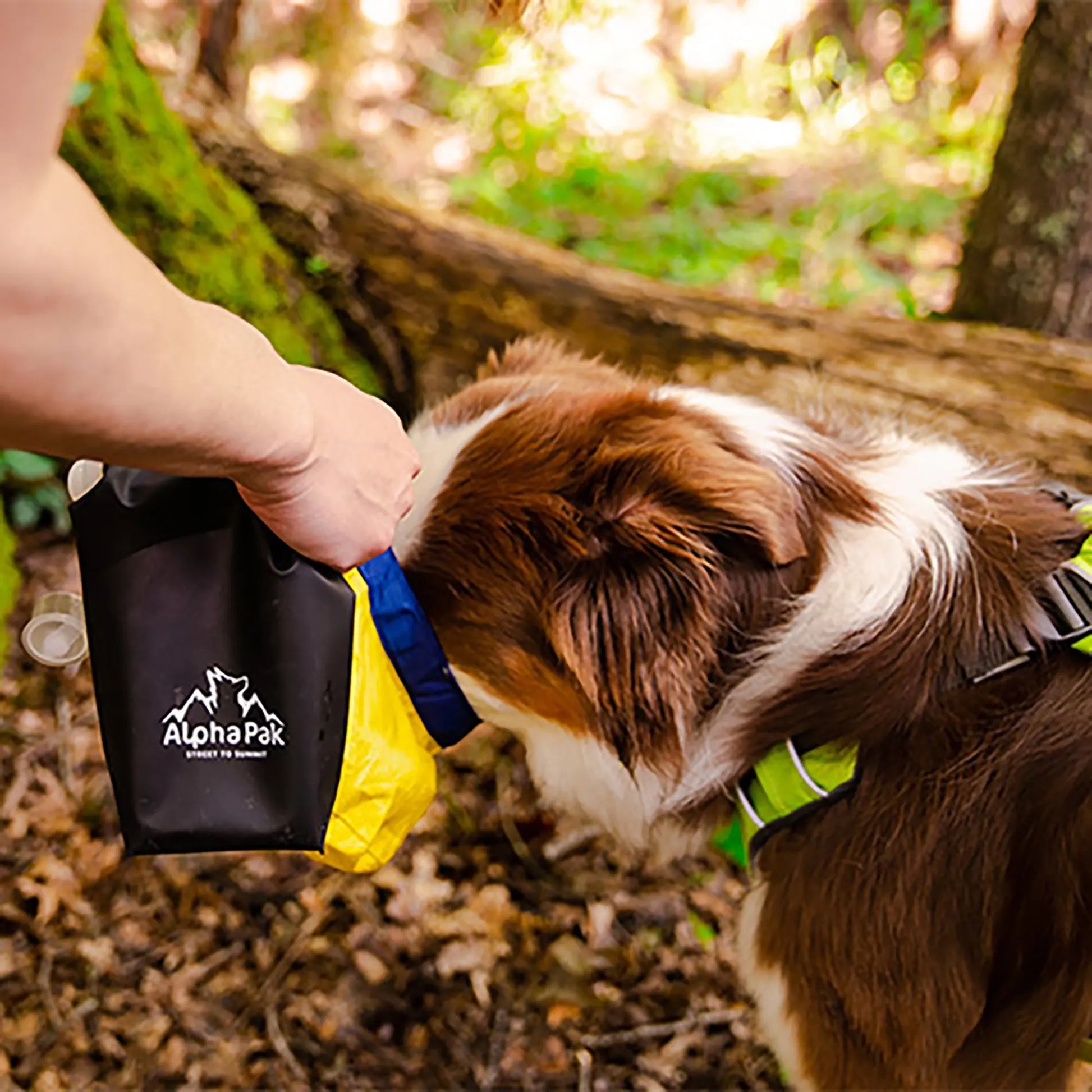 Kobuk Water Bladder Alpha Pak