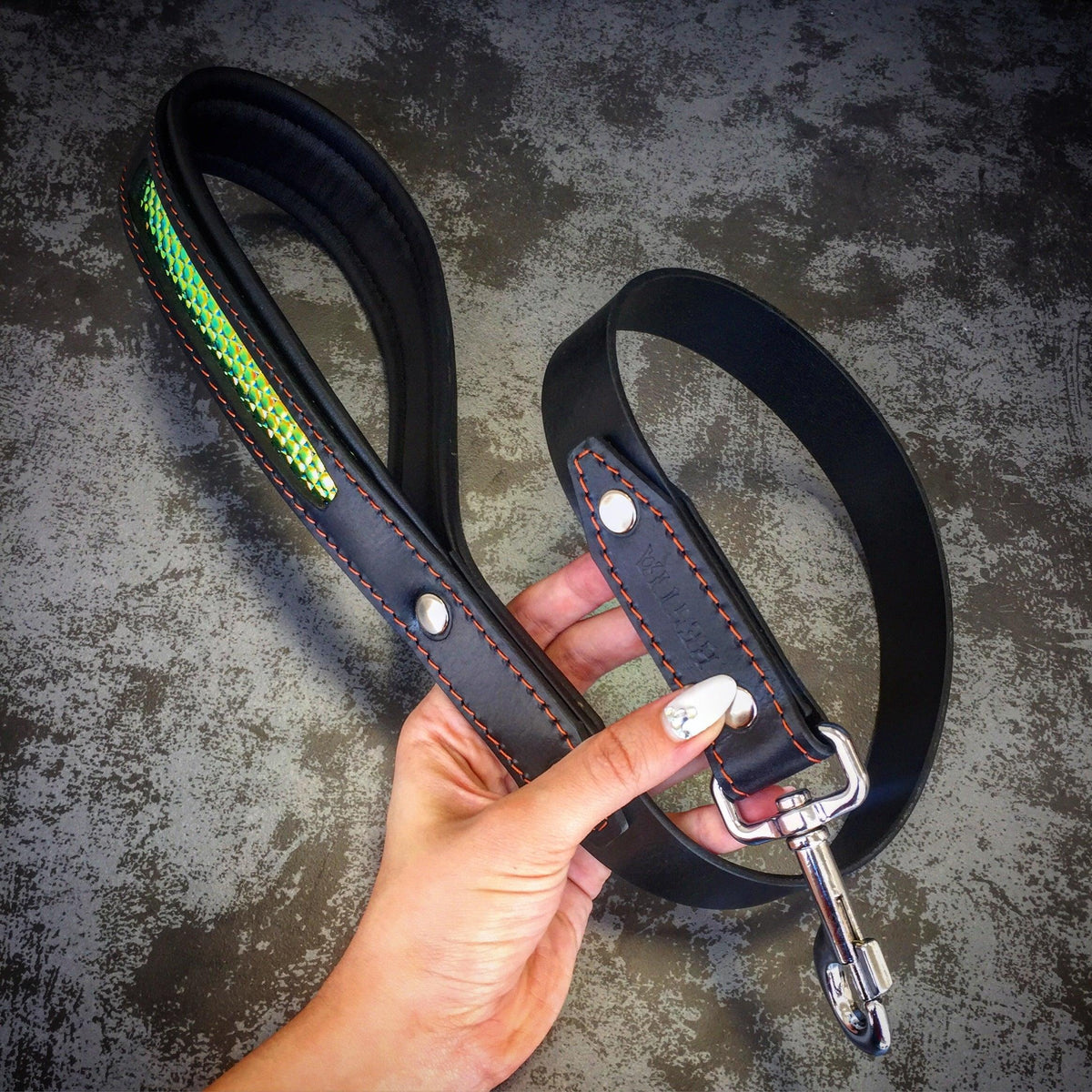 Bestia D'Albertis Leather Dog Collar