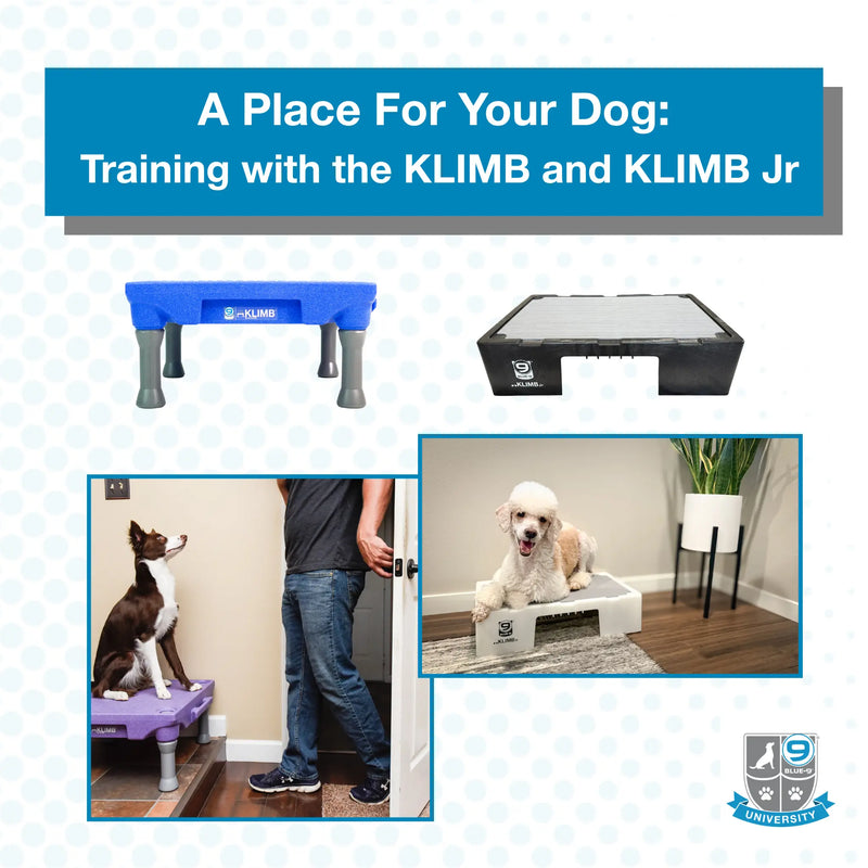 A Place For Your Dog Training - KLIMB and KLIMB Jr