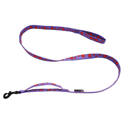 Leashes.  Ballistic Solids or Design Prints American Dog