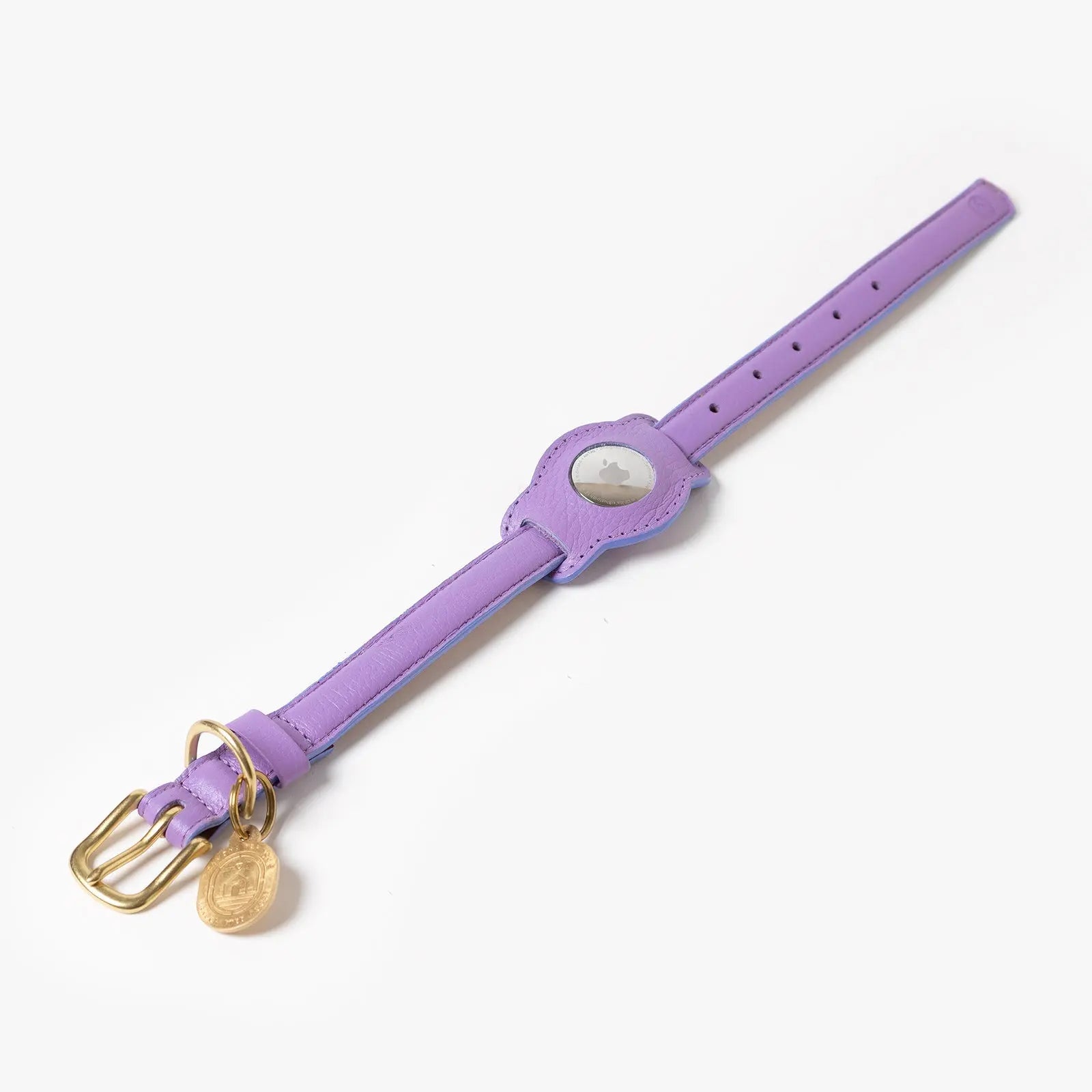 Fairy Airtag Holder Ramona For You