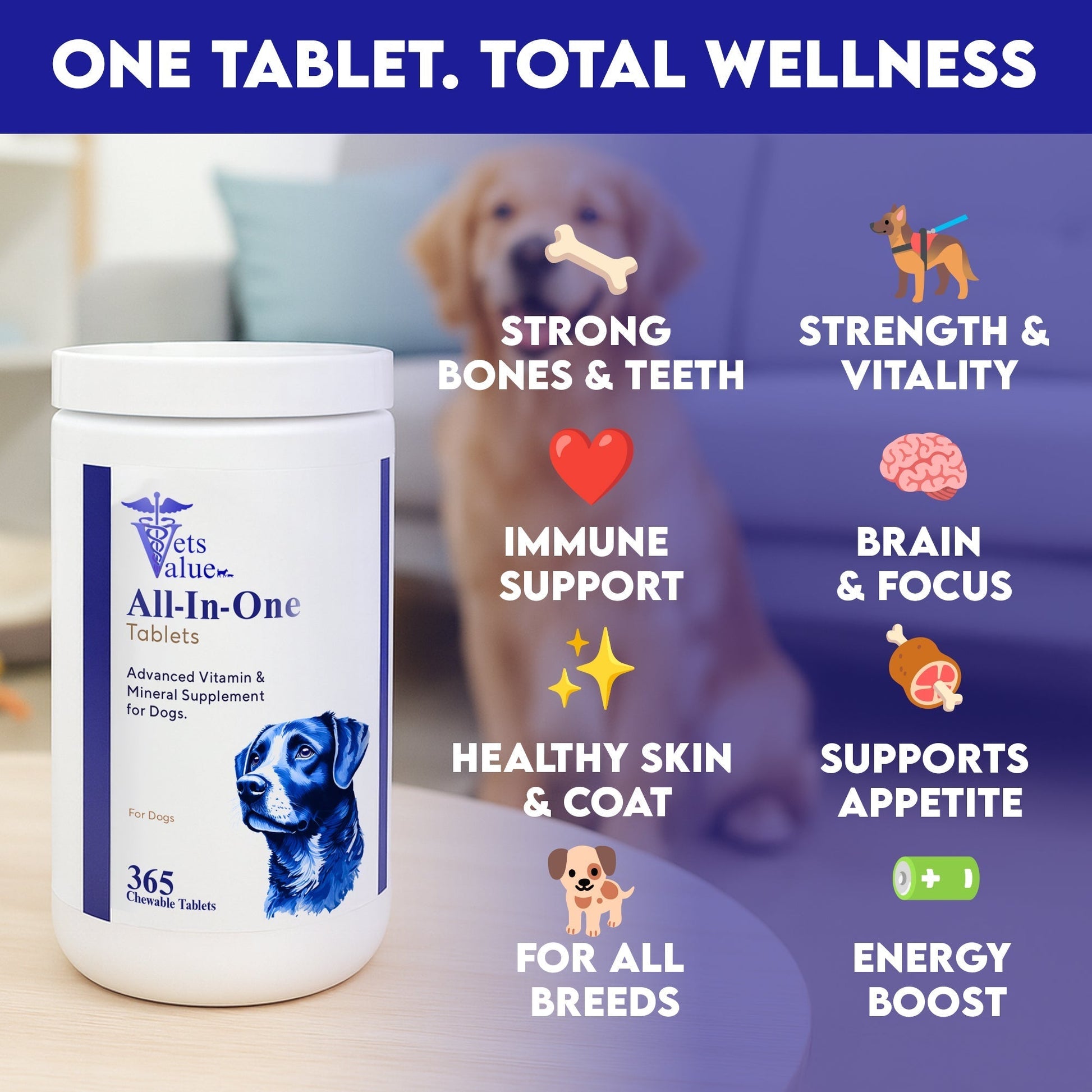 Vets Value All-in-One Dog Vitamins – 365 Chewable Tablets – Advanced Multivitamin & Mineral Supplement for Dogs – Supports Joints, Immunity, Skin & Coat – Daily Wellness for All Breeds Horizon Animal Care