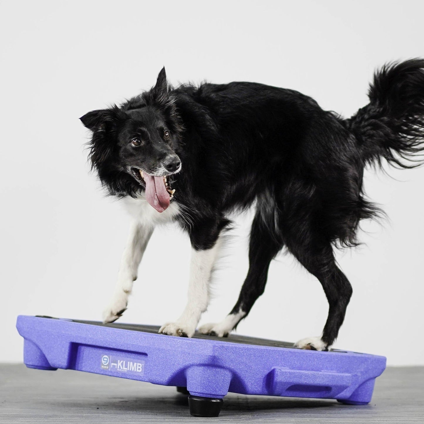 KLIMB Blue-9 Pet Products