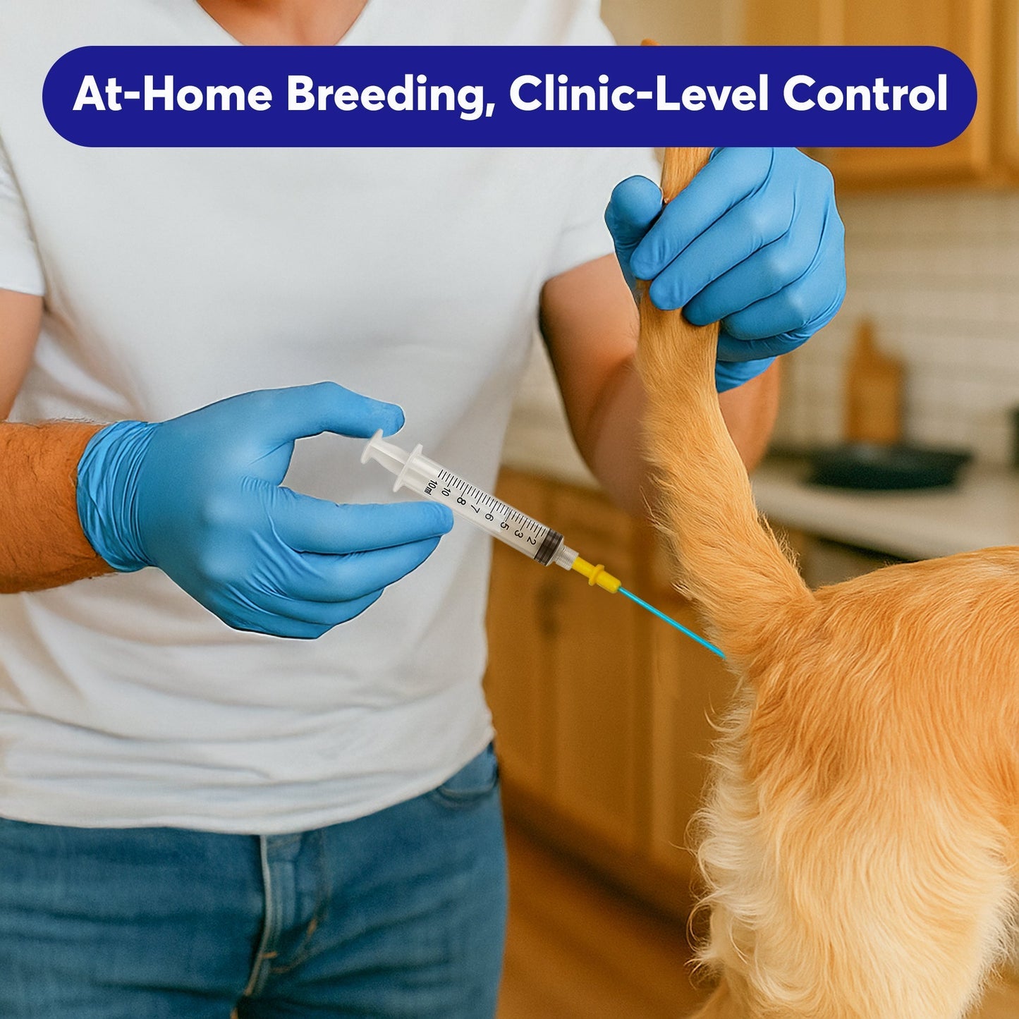 3-Pack Canine Breeding Support Kit – Complete Dog Breeding Supplies with Tubes, Insemination Rods, Syringes, Sheaths & Disposable Gloves – Veterinary Grade Animal Care Equipment Horizon Animal Care