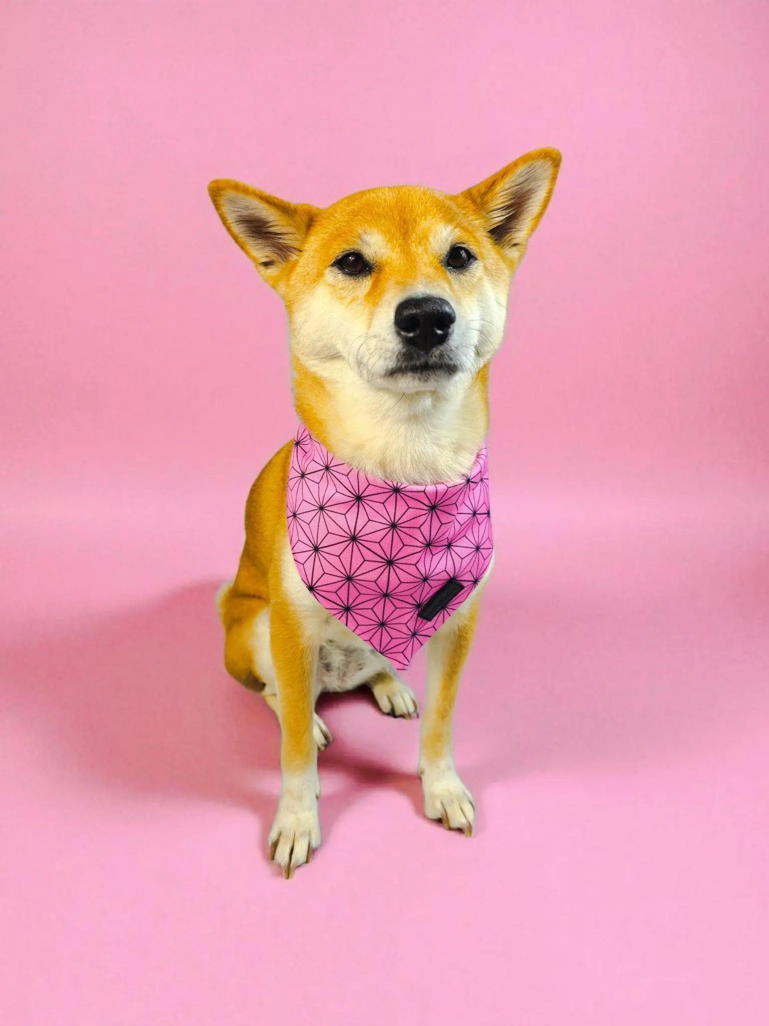 Asanoha Cooling Bandana - K9 Outdoors