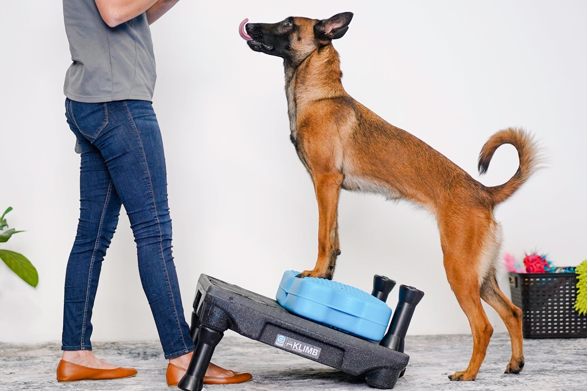 Propel Air Platform Blue-9 Pet Products