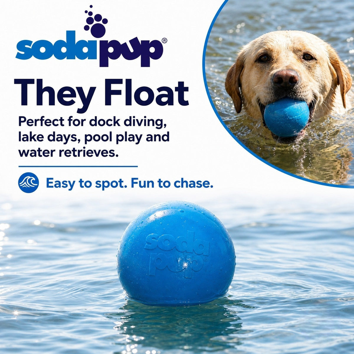 Pink & Blue Glitter Ball 2-Pack Dog Toy | Soft PUP-X Rubber Floating Fetch Ball with Treat Dispenser | USA Made (Copy)