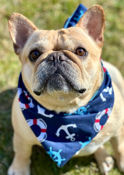 Nautical Dog Bandana New Arrivals Happy Tails Outfitters