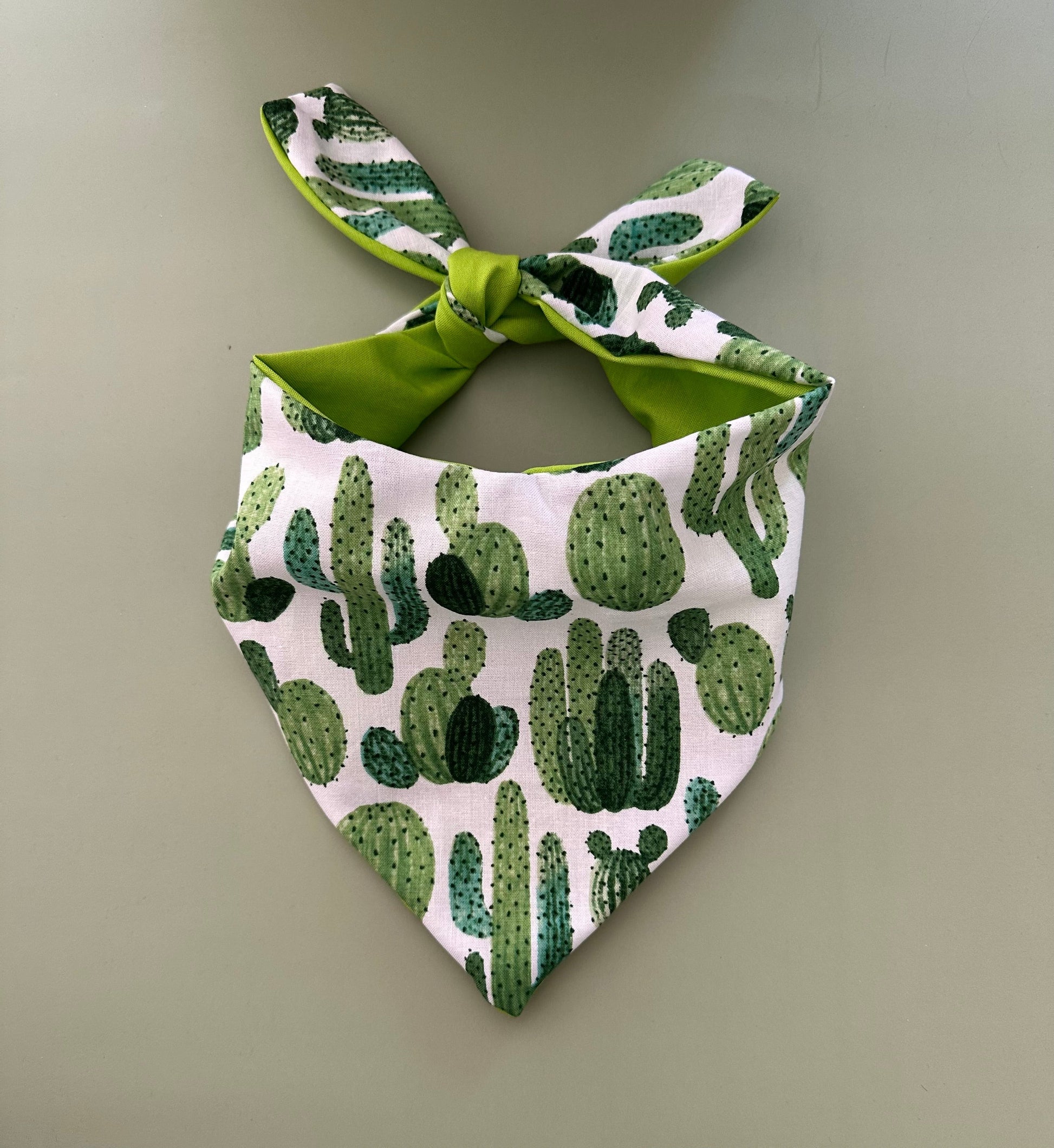 Cactus Dog Bandana Happy Tails Outfitters