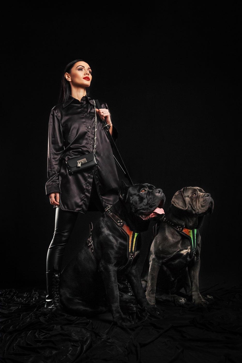 Bestia D'Albertis Leather Dog Harness – Limited Edition