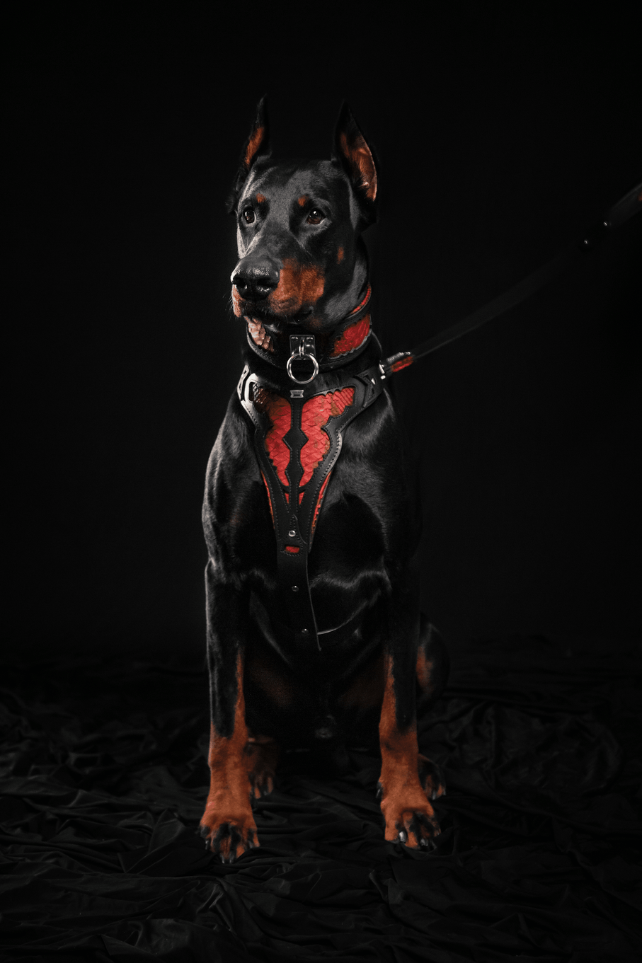 Bestia Red Dragon Leather Dog Collar