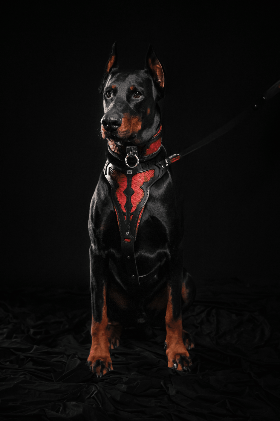 Bestia Red Dragon Leather Dog Harness
