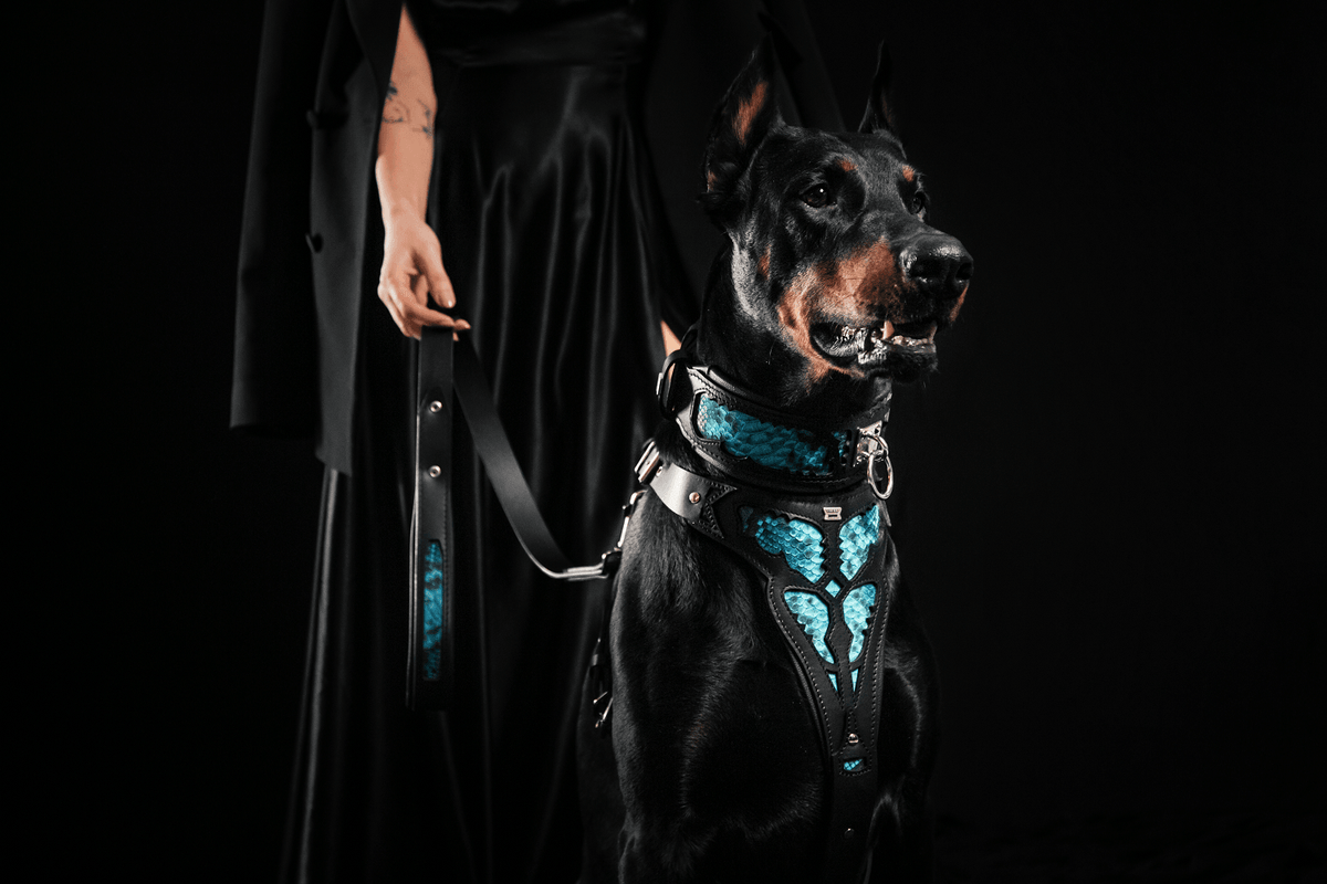 Bestia Morelia Python Leather Dog Leash