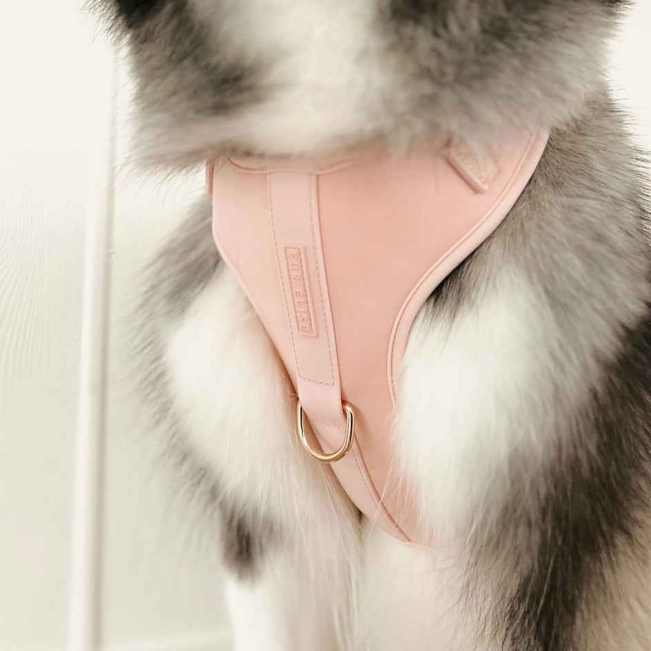 Fur Elise Harness - Rose