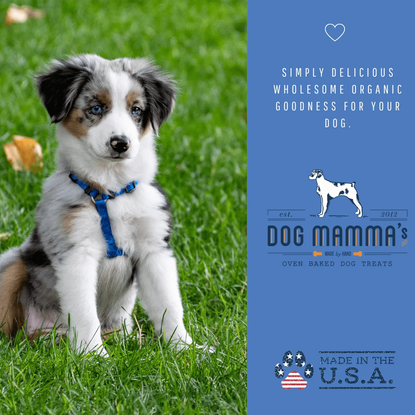 Dog Mamma's Organic Berry Banana Coconut Recipe - USDA Organic Certified Dog Treats Dog Mamma's Organic Dog Treats