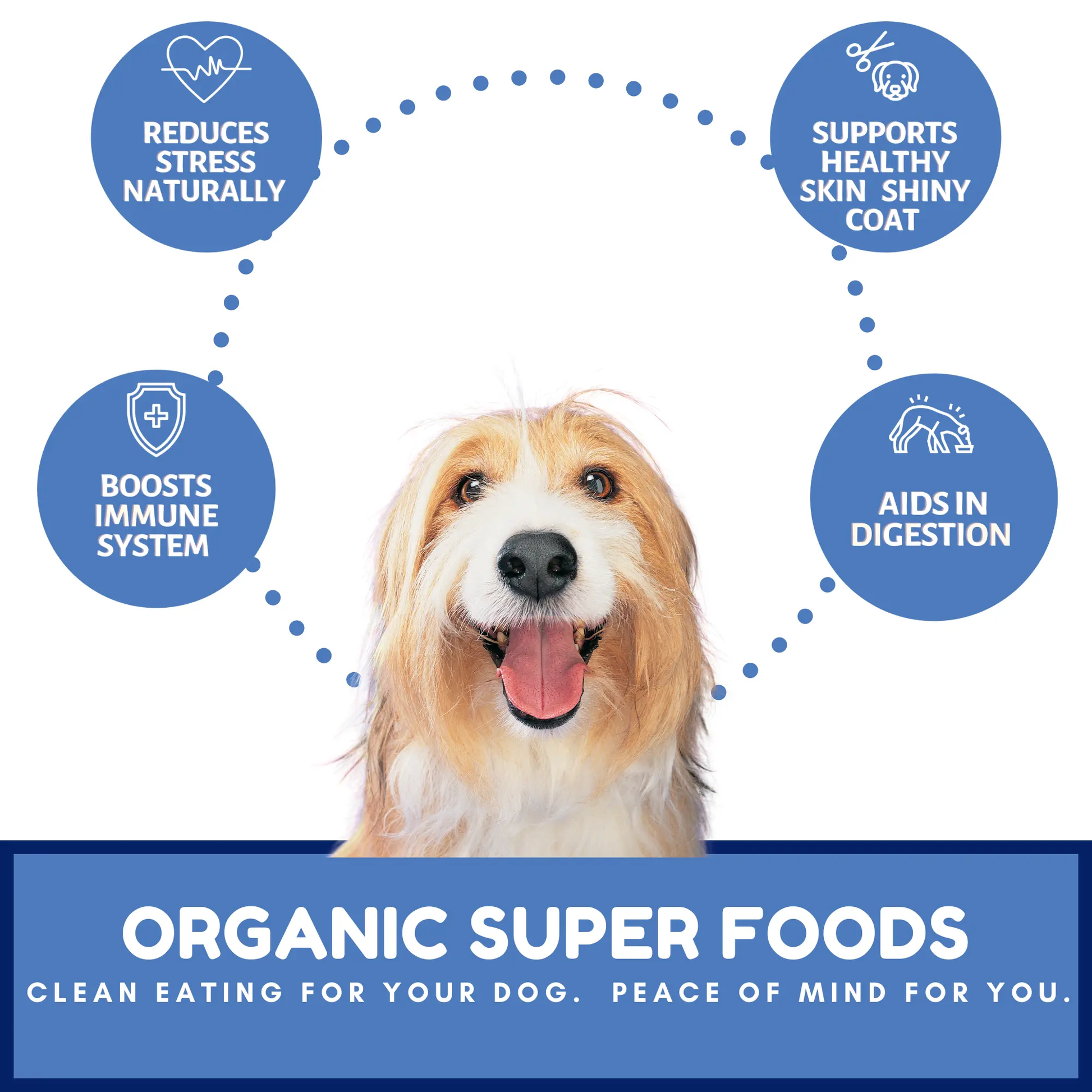 Dog Mamma's Organic Berry Banana Coconut Recipe - USDA Organic Certified Dog Treats Dog Mamma's Organic Dog Treats