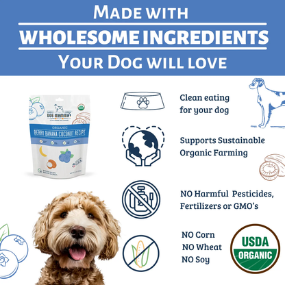 Dog Mamma's Organic Berry Banana Coconut Recipe - USDA Organic Certified Dog Treats Dog Mamma's Organic Dog Treats