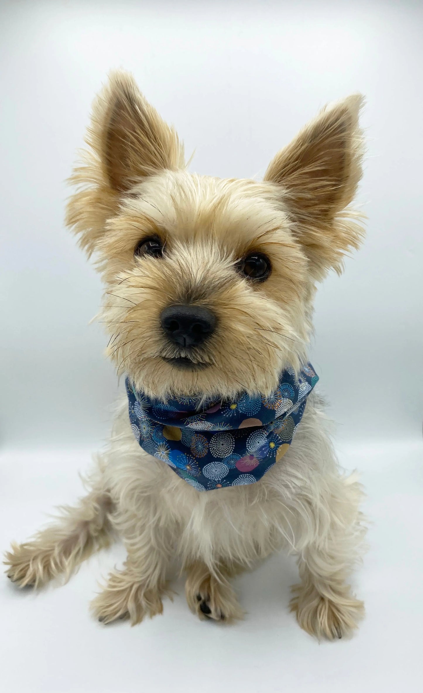 'Blair' Reversible Pet Snood BESPOKE PAWS