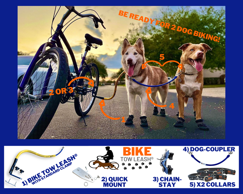 BTL Double Dog Package