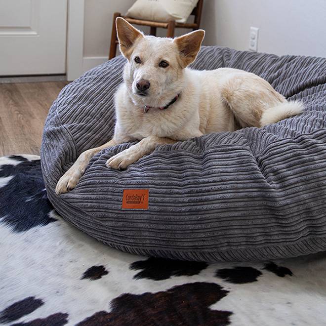 40 Inch Forever Dog Bed (Waterproof) - Terry Corduroy
