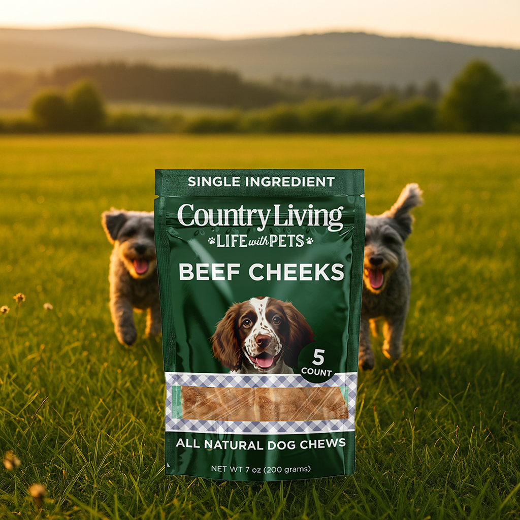 Country Living 4” x 4” Beef Cheek Chip Dog Treats – Chicken Flavor – 5 Count Bag – All-Natural, High-Protein, Long-Lasting Dog Chews American Pet Supplies