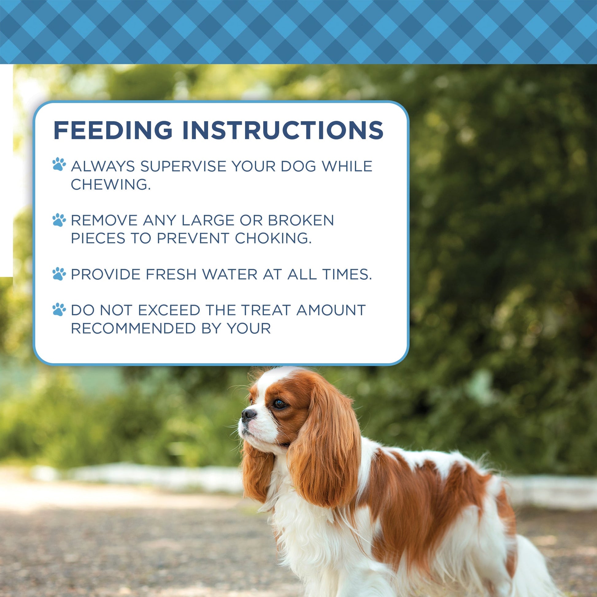 Country Living 4” x 4” Beef Cheek Chip Dog Treats – Chicken Flavor – 5 Count Bag – All-Natural, High-Protein, Long-Lasting Dog Chews American Pet Supplies