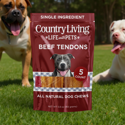 Country Living 4”-7” Beef Backstrap Tendon Dog Chews – 5 Count Bag – All-Natural, Long-Lasting, High-Protein Dog Treats – Single-Ingredient, Grain-Free American Pet Supplies