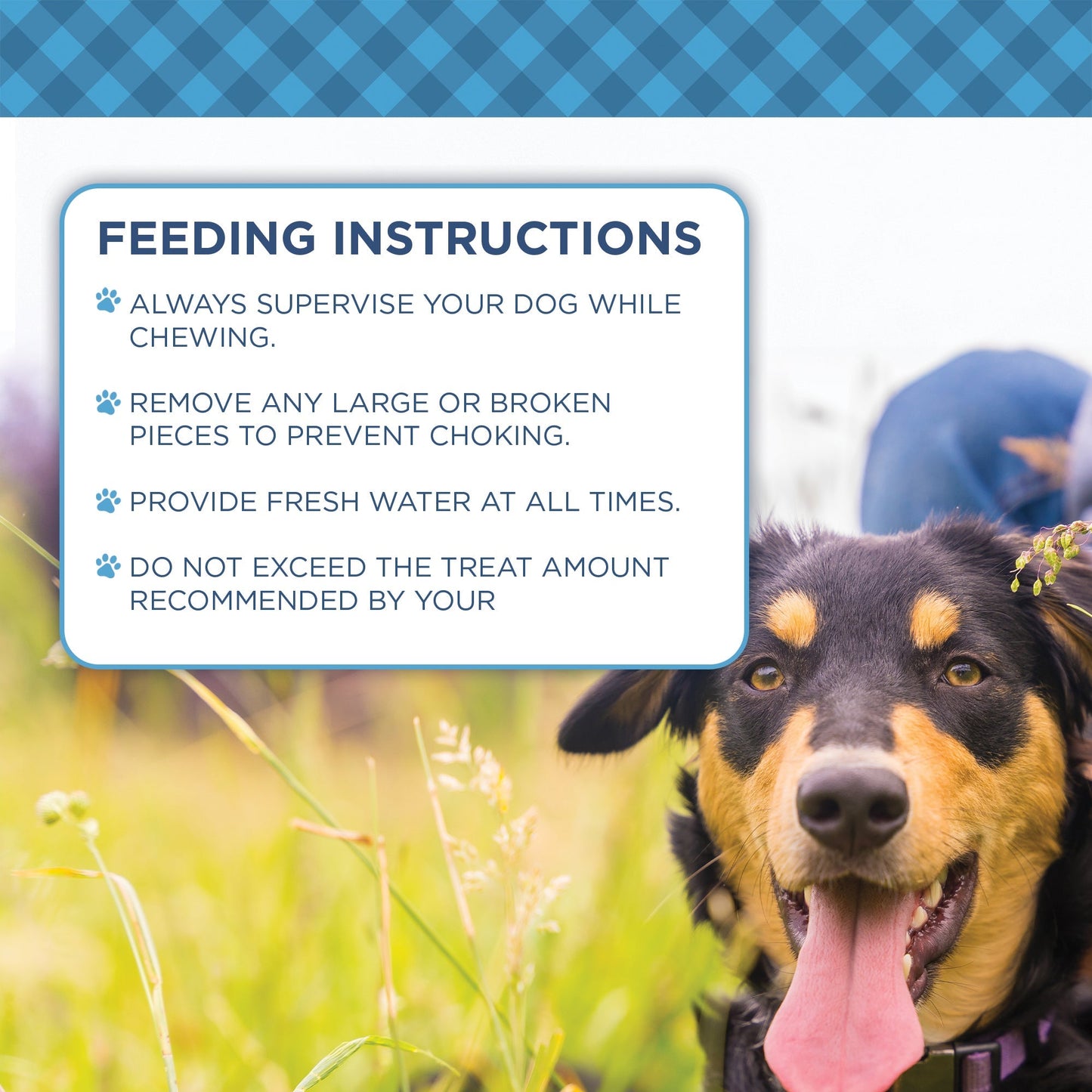 Country Living 4”-7” Beef Backstrap Tendon Dog Chews – 5 Count Bag – All-Natural, Long-Lasting, High-Protein Dog Treats – Single-Ingredient, Grain-Free American Pet Supplies