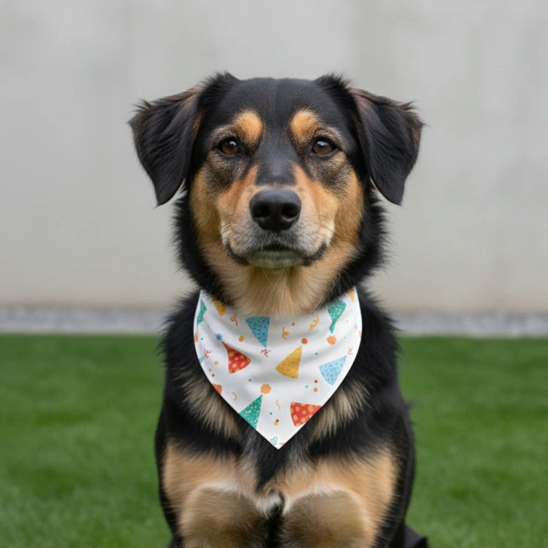 Birthday Dog Bandana