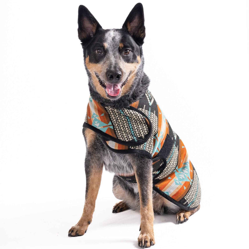 Black Canyon Dog Blanket Coat