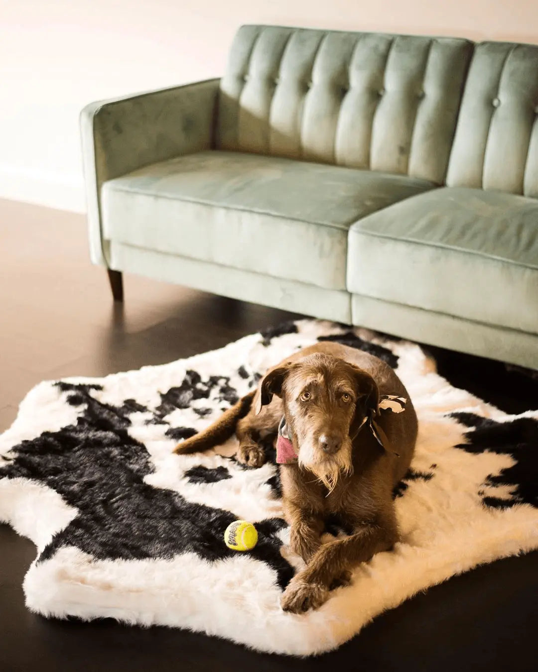 PupRug™ Animal Print Memory Foam Dog Bed - Black Faux Cowhide Paw.com