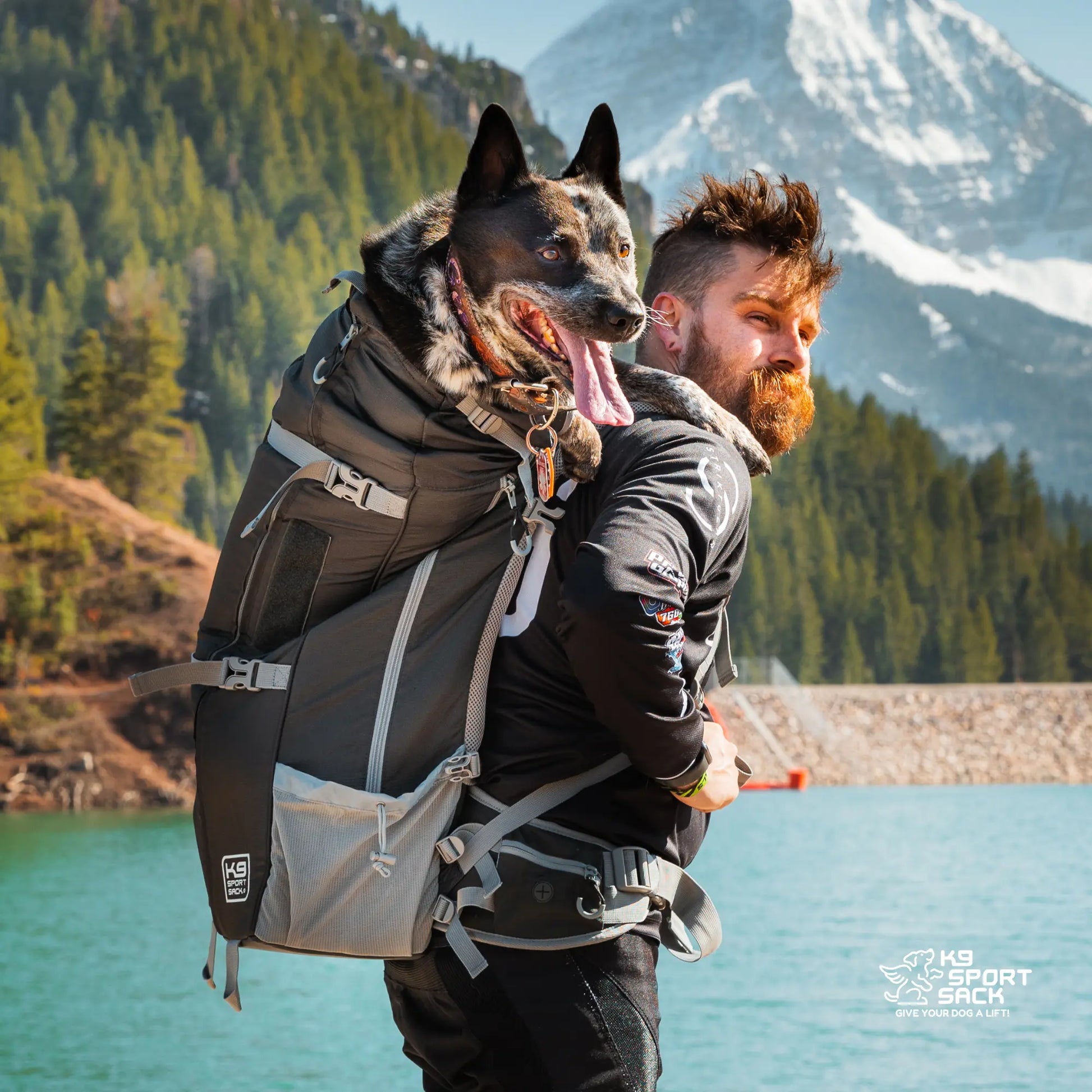 Kolossus | Big Dog Carrier & Backpacking Pack K9 Sport Sack