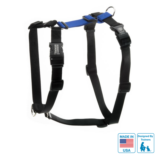 Balance Harness Blue-9 Pet Products