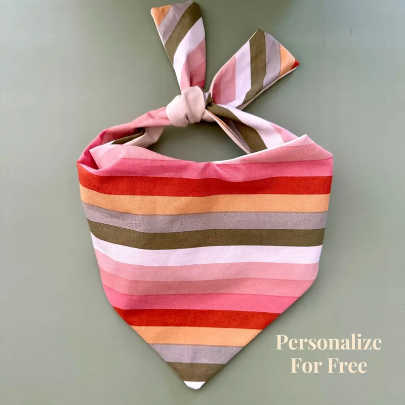 Boho Stripes Dog Bandana