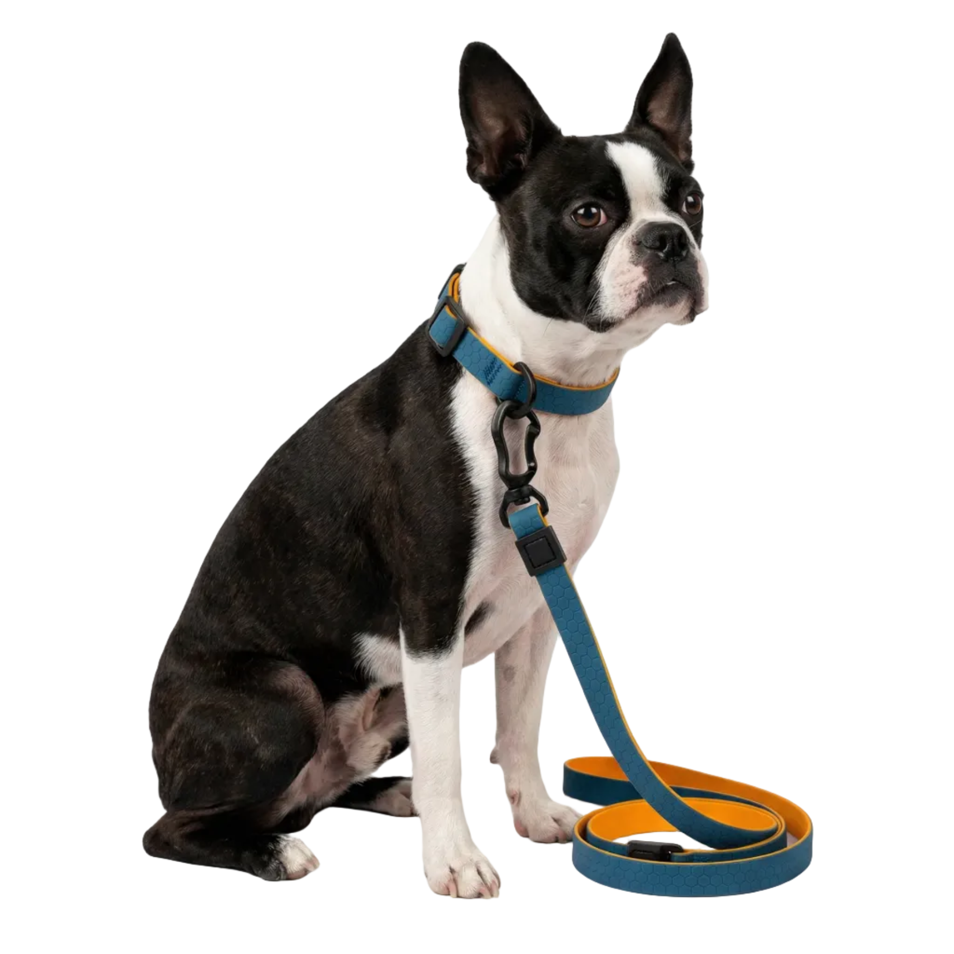 Hexagon Walk Set - Waterproof Collar & Leash Set for Small Dogs