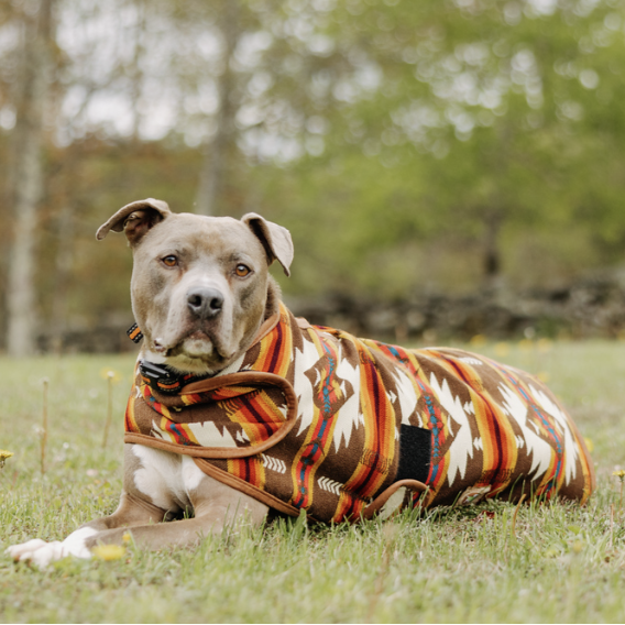 Brown Southwest Dog Coat