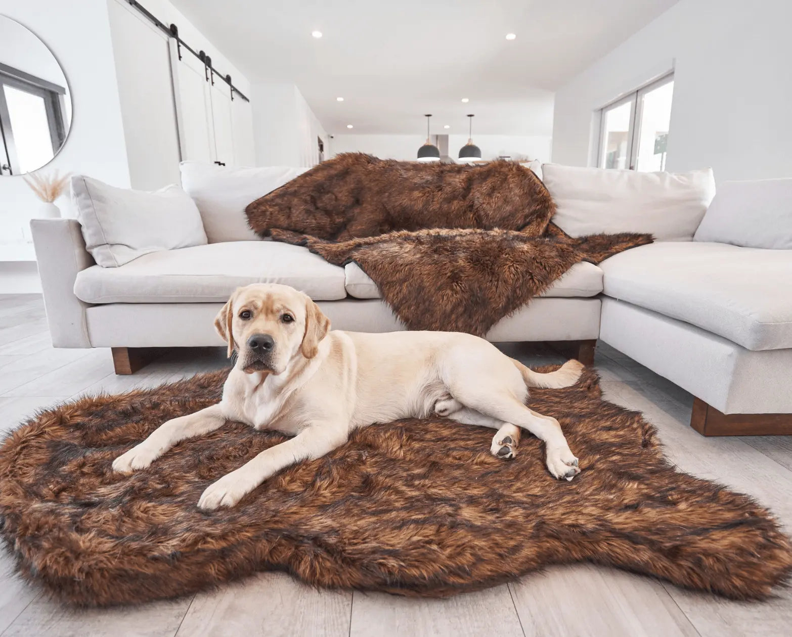 PupRug by Paw.com™ Faux Fur Orthopedic Dog Bed - Curve Brown Paw.com
