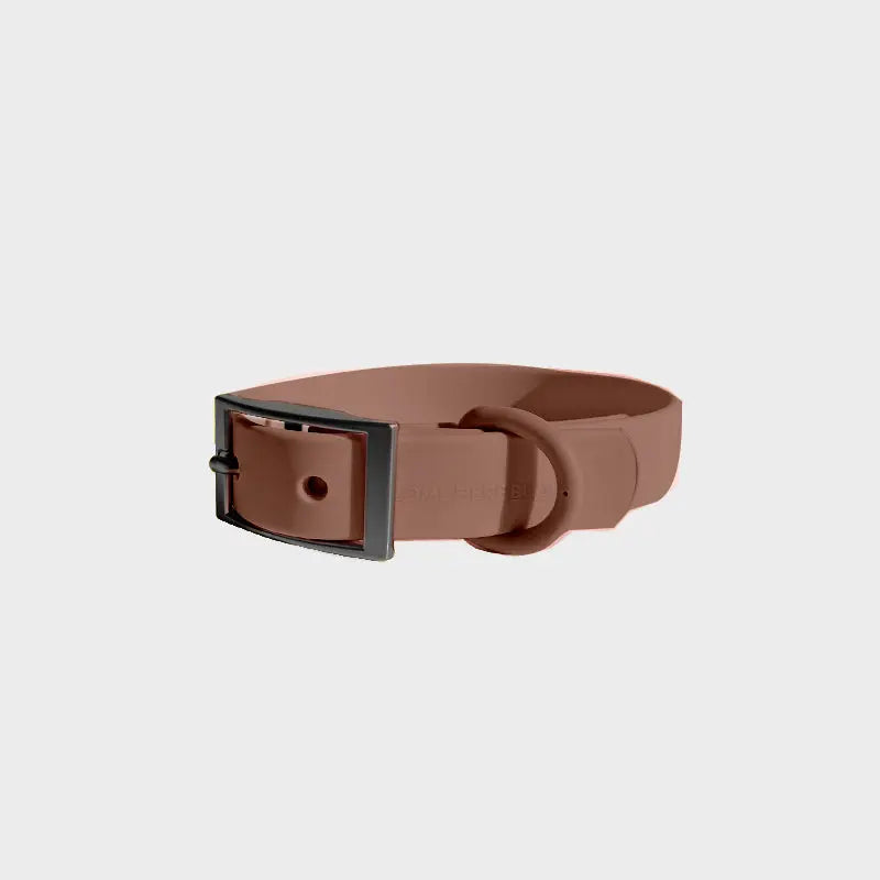 Everyday Collar - K9 Outdoors